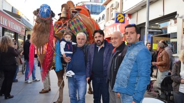 Ayvalık’ta develer görücüye çıktı