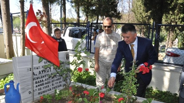 Balıkesirli şehit aileleri 13. Zeytin Hasat Günleri’ne katılıyor