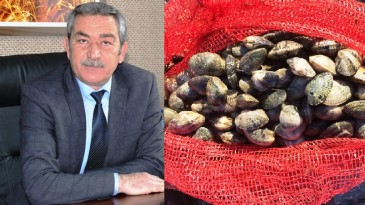 Ayvalık’ta kaçak kum midyesi avcılarına darbe
