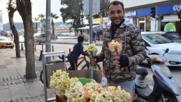 Ayvalık’ta nergis kokusu yürekleri ısıtıyor