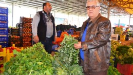 Ayvalık Ot Festivali ile ekonomik çıkış yapacak