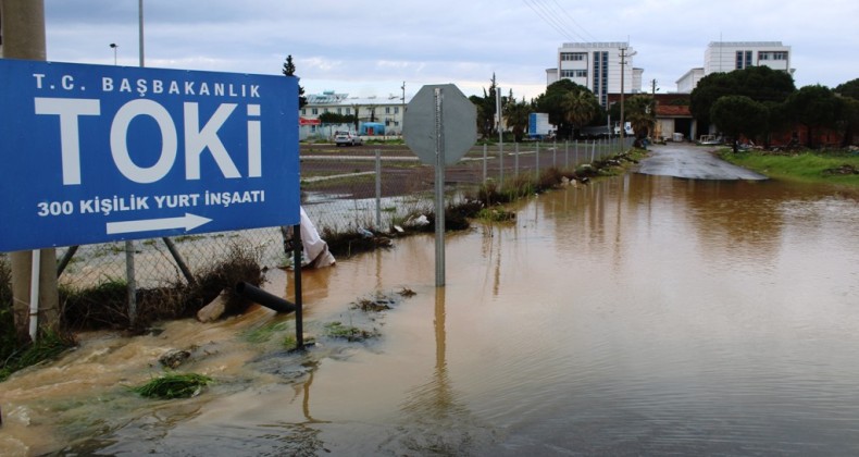 Ayvalık’ta şiddetli yağış ekili arazileri vurdu
