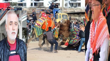 Ayvalık 4. Geleneksel Büyükşehir Belediyesi Deve Güreşi Festivali’ne hazırlanıyor