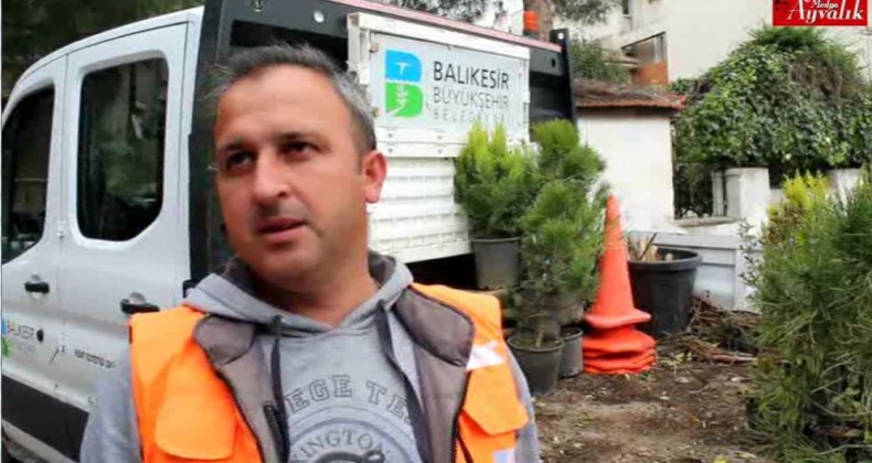 Ayvalık’ta Ağaç ve Çiçek Dikme Eğlencesi