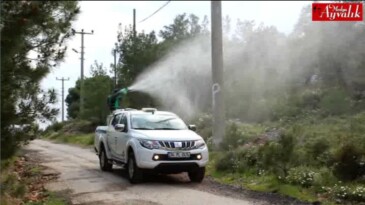 Ayvalık’ta Sivrisinek Mücadelesi