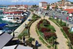 AYVALIK SAHİLİNDE ÇİÇEKLER AÇTI