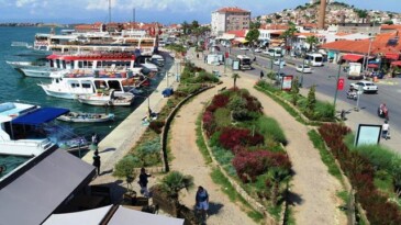 AYVALIK SAHİLİNDE ÇİÇEKLER AÇTI