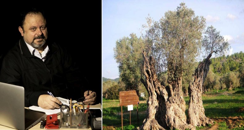 Zeytin’e çöp tehdidi