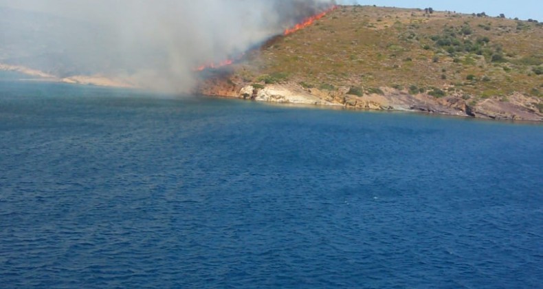 Ayvalık Maden Adası’nda orman yangını