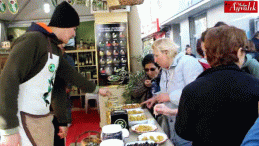 Ayvalık Renkli Zeytin Hasat Şenliği’ne hazırlanıyor