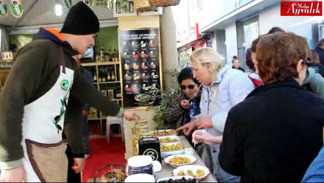Ayvalık Renkli Zeytin Hasat Şenliği’ne hazırlanıyor