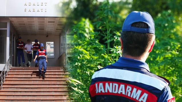 Ayvalık’ta jandarma uyuşturucuya göz açtırmıyor