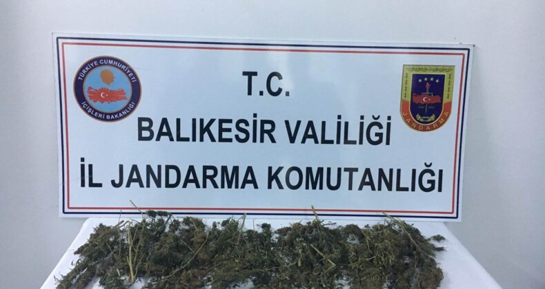 Ayvalık’ta jandarma ilçeye uyuşturucu getiren 1 kişiyi yakaladı