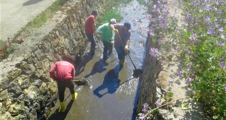 Ayvalık’ta Park Bahçeler Müdürlüğü’nden hafta sonu mesaisi