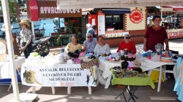 Sokak kermesleriyle sokak hayvanlarına umut oluyorlar