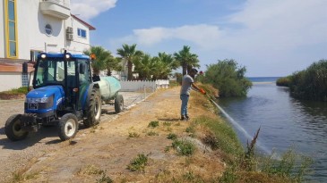 AYVALIK BELEDİYESİ’NDEN 24 SAAT SİVRİSİNEK MÜCADELESİ