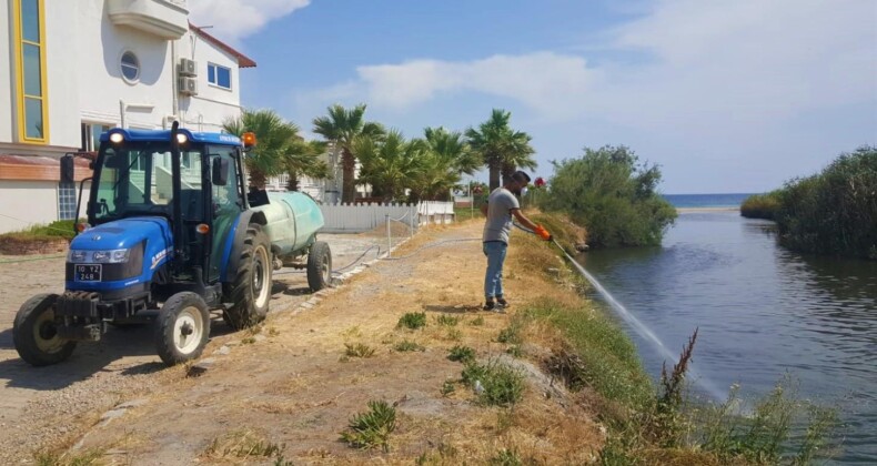 AYVALIK BELEDİYESİ’NDEN 24 SAAT SİVRİSİNEK MÜCADELESİ