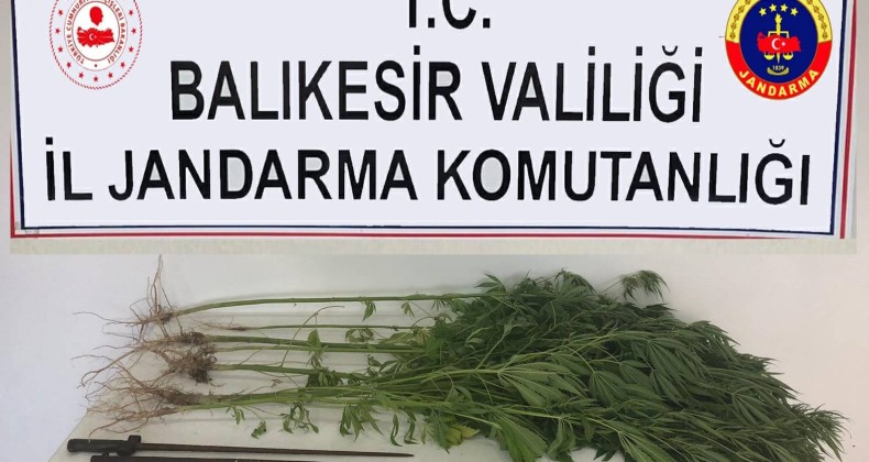 Gömeç’te jandarmadan uyuşturucu ve tarihi eser operasyonu