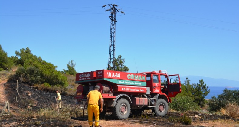 Cunda Adası’nda enerji nakil hattından saçılan alevler orman yangını çıkardı