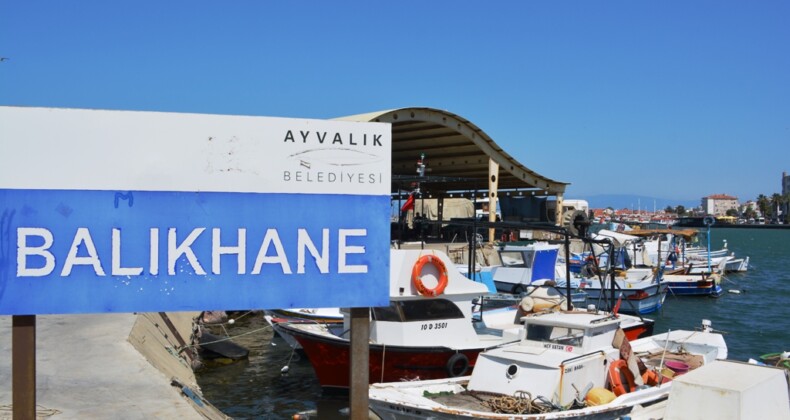 Ayvalık’ta balıkçılar yeni av sezonundan umutlu