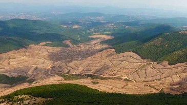 Ayvalık ÇYDD’den ‘altın’ mesaj