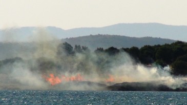 Bilinçsiz mangal yakımı az daha mesire alanını yakıyordu