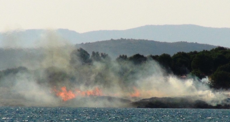 Bilinçsiz mangal yakımı az daha mesire alanını yakıyordu