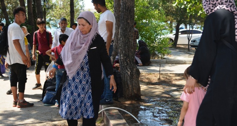 Ayvalık’ta jandarma 50 göçmeni kıskıvrak yakaladı