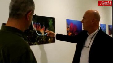Ayvalık´ın Su Altı Zenginlikleri – Fotoğraf Sergisi