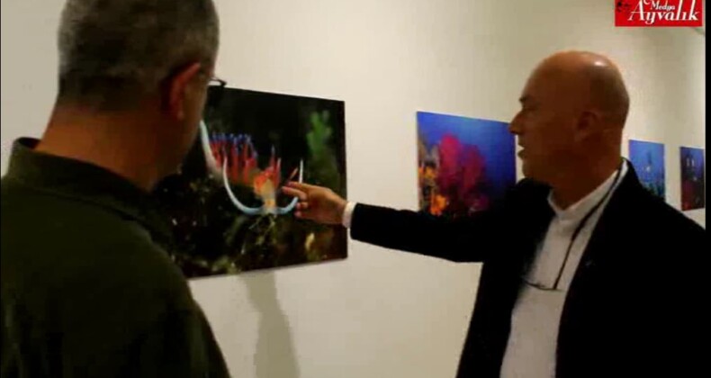 Ayvalık´ın Su Altı Zenginlikleri – Fotoğraf Sergisi
