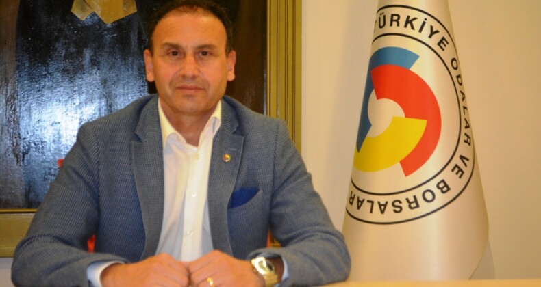 15. Ayvalık Uluslararası Zeytin Hasat Festivali 25-29 Ekim 2019 tarihleri arasında yapılacak
