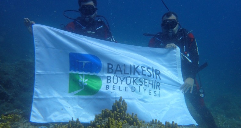 EDREMİT’İN SAKLI HAZİNESİ: KIRMIZI MERCANLAR