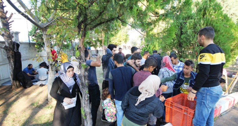 Ayvalık’ta 98 düzensiz göçmen jandarmadan kaçamadı