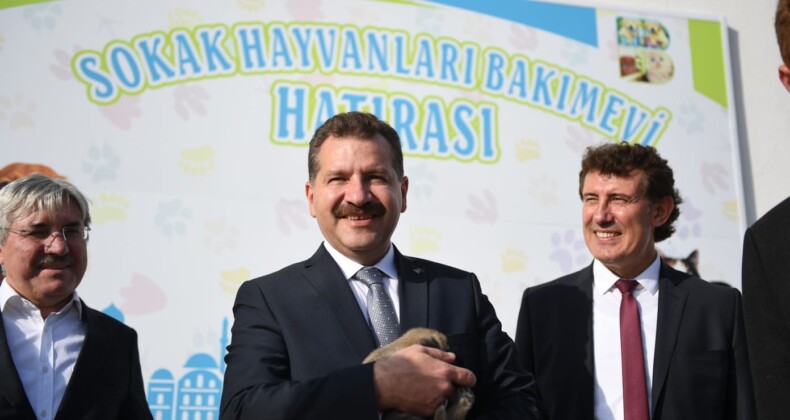 Can dostlarımız güvende