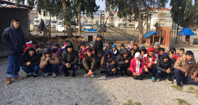 Ayvalık’ta 20 göçmen jandarmadan kaçamadı