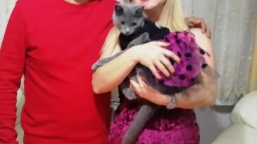 Sevimli kedi için ilginç doğum günü partisi