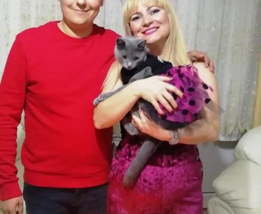 Sevimli kedi için ilginç doğum günü partisi