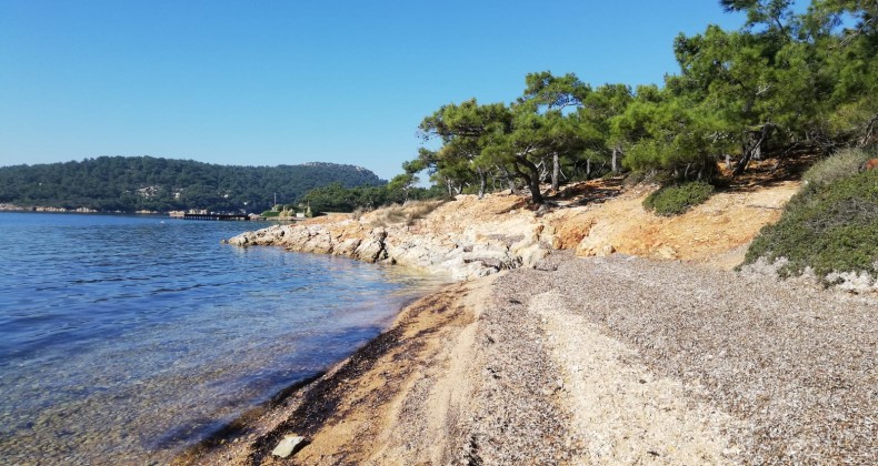 Ayvalık’ta Tabiat Parkı parsel parsel kiralanmaya mı başladı?
