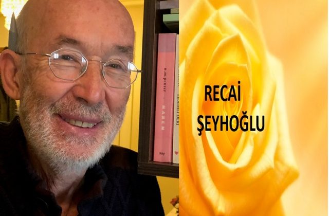 SENEM GELİN
