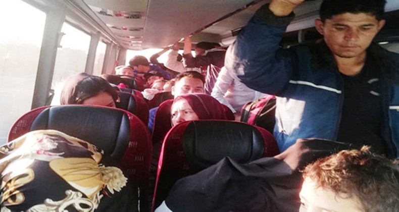 Ayvalık’ta 56 göçmen jandarma ekiplerince yakalandı