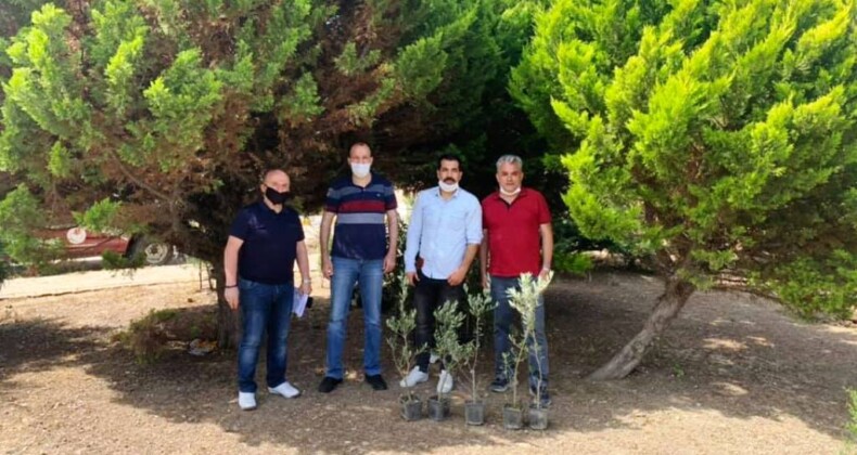 Ayvalık MYO zeytin fidanlarını toprakla buluşturdu
