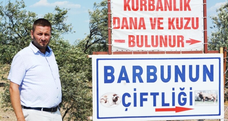 Ayvalık Ziraat Odası Başkanı Baysal’dan “kurbanlık” açıklaması