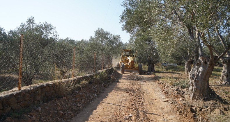 Ayvalık Belediyesi Cunda Adası’nda zeytinlikler arasındaki yollara el attı