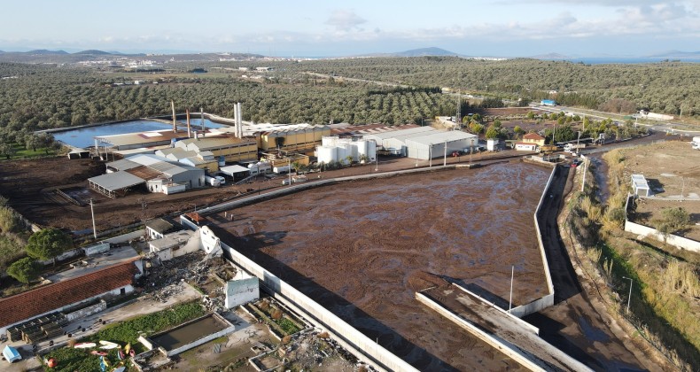 Ayvalık Belediyesi’nden çevre felaketine suç duyurusu