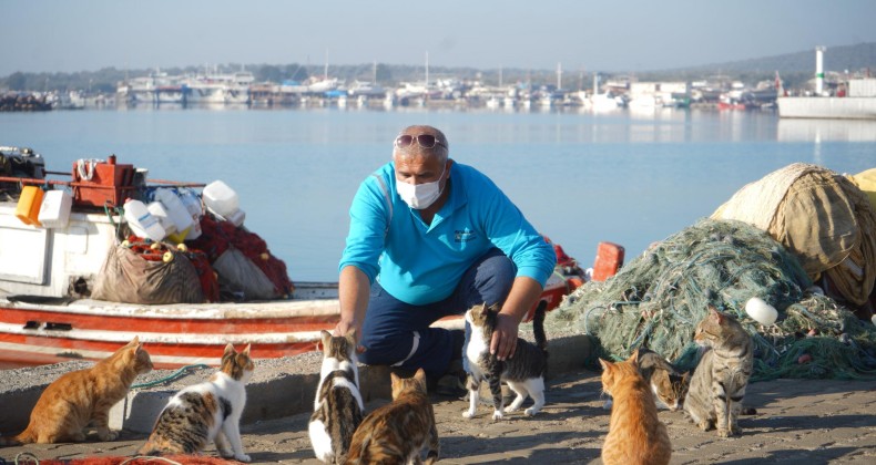 Ayvalık Belediyesi sokaktaki dostlara 10 ton mama dağıttı