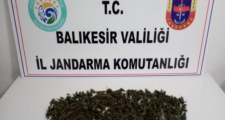 Ayvalık’ta uyuşturucu satıcısı zanlıları jandarmadan kaçamadı