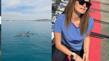 Yunus balığının kürek sporcusu kadın ile dostluğu yürekleri ısıttı