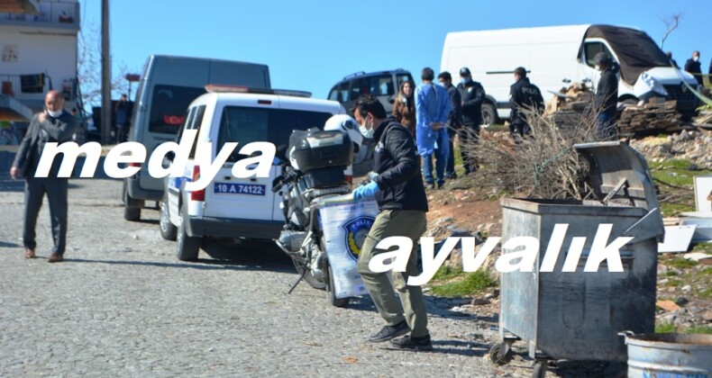 AYVALIK’TA VAHŞET…