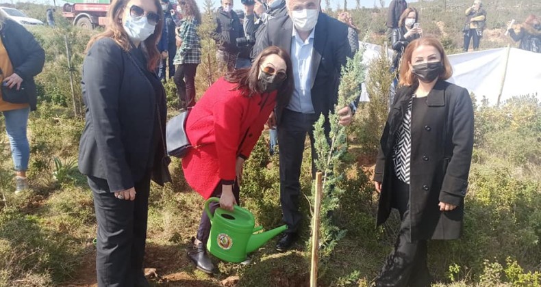 Ayvalık’ta AK Kadınlardan “Güçlü Kadınlar Koruluğu”