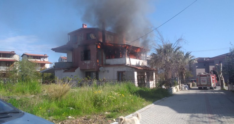 Tripleks villada çıkan yangında 2 köpek telef oldu